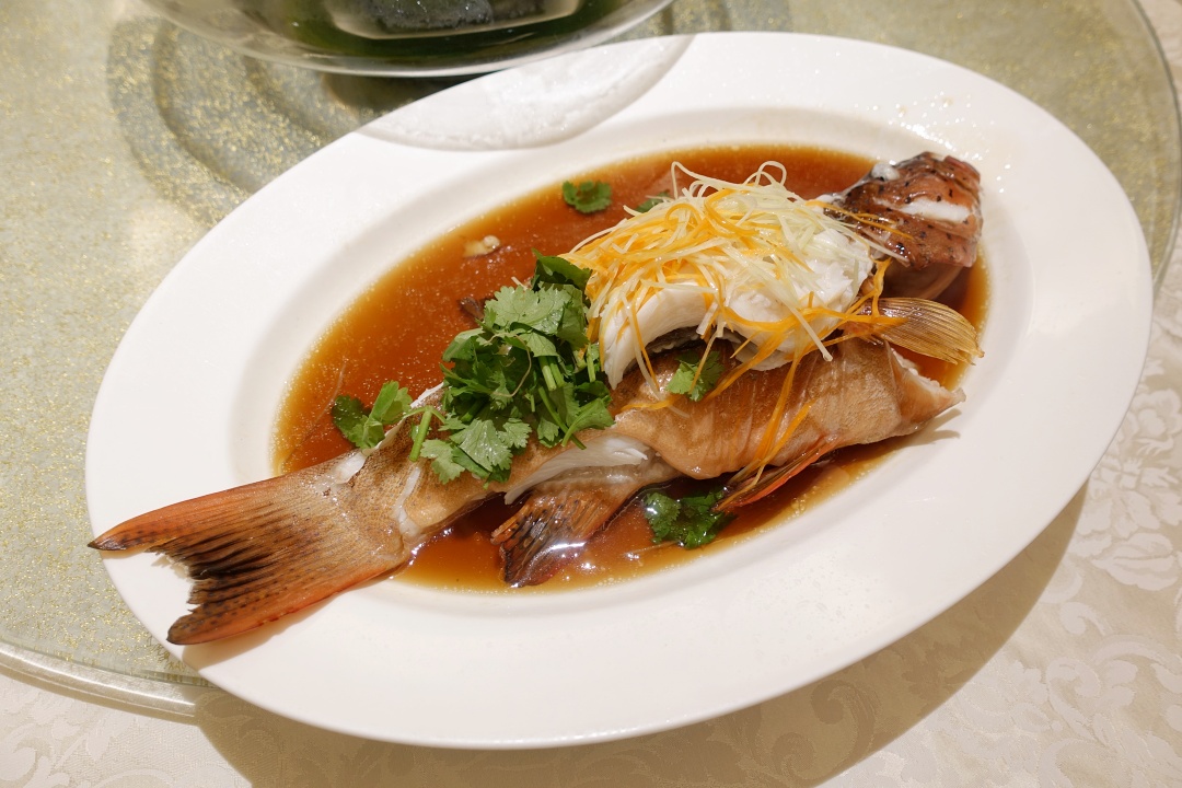 Golden Peony - Red Grouper | joanne-khoo.com